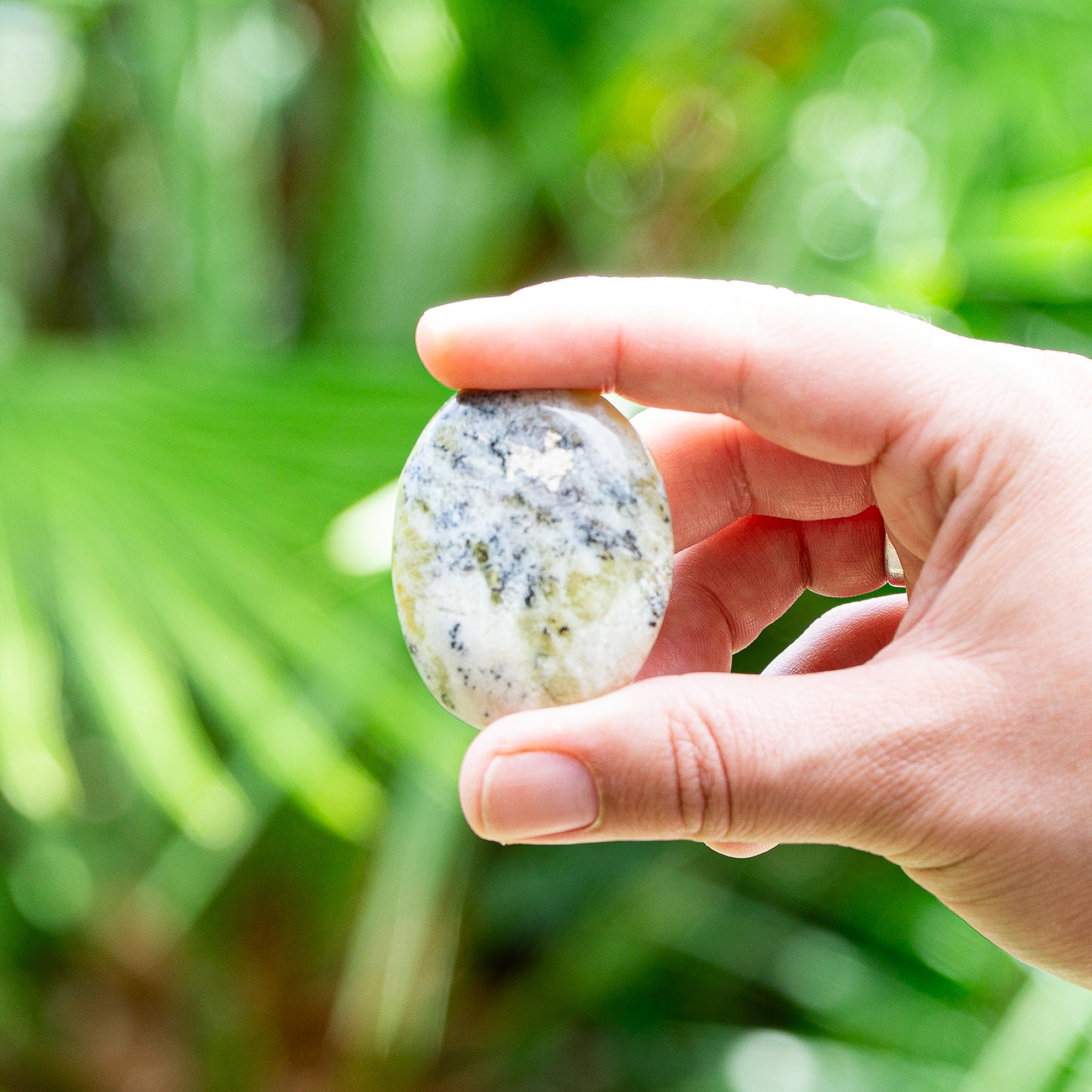 Handsteen Dendriet Agaat nr1