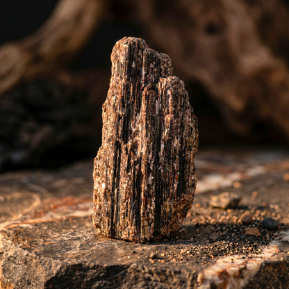 Natuurlijke edateen zwarte toermalijn met mica overgroeiing sculptuur 